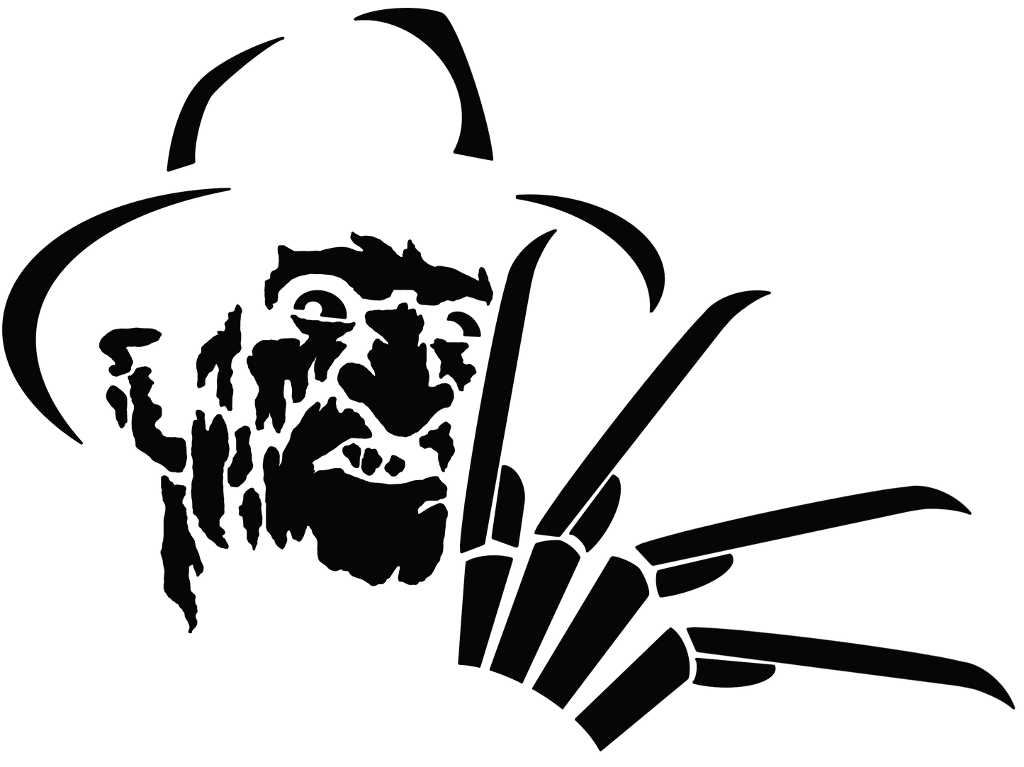VIN-016 -Freddy