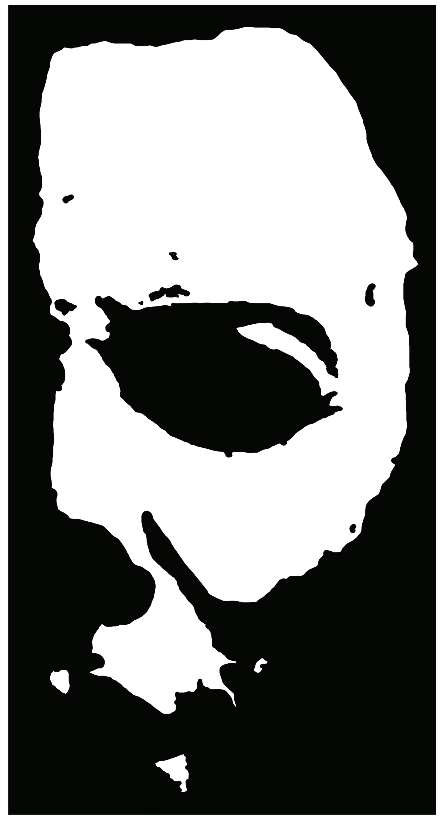 VIN-008-Half Myers Face