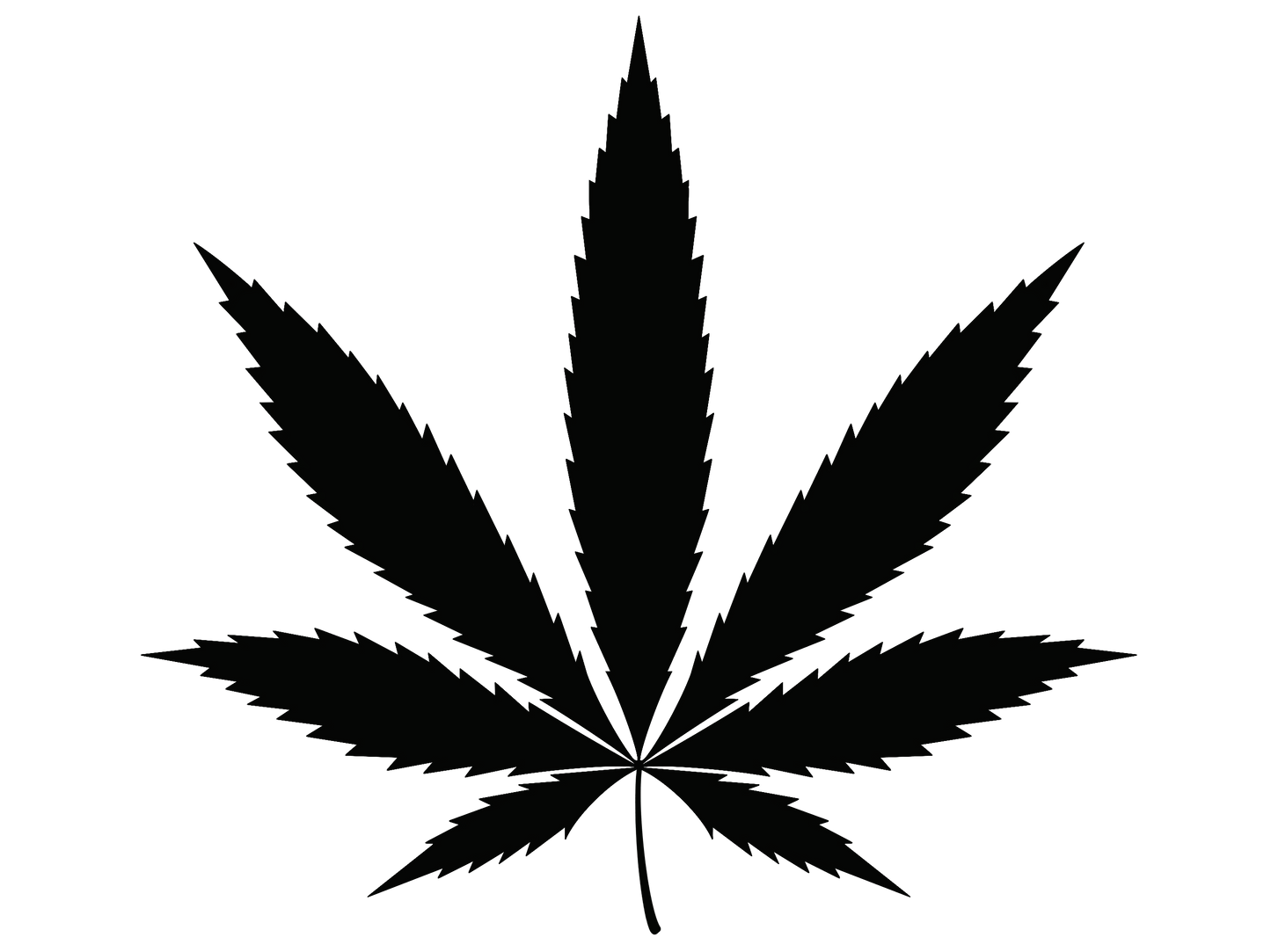 VIN-002 - Canna Leaf